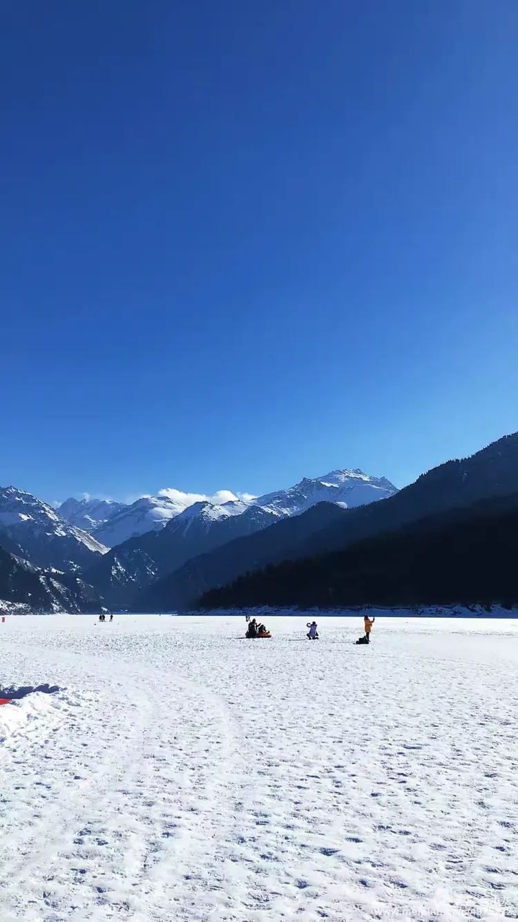 开云中国-包含游泳大奖赛，江畔海豚队与天山铁骑队绝杀，VAR改判成焦点！定海神针仍在的词条